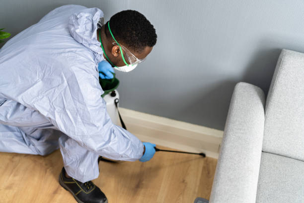 Best Fumigation Services  in Hoboken, NJ